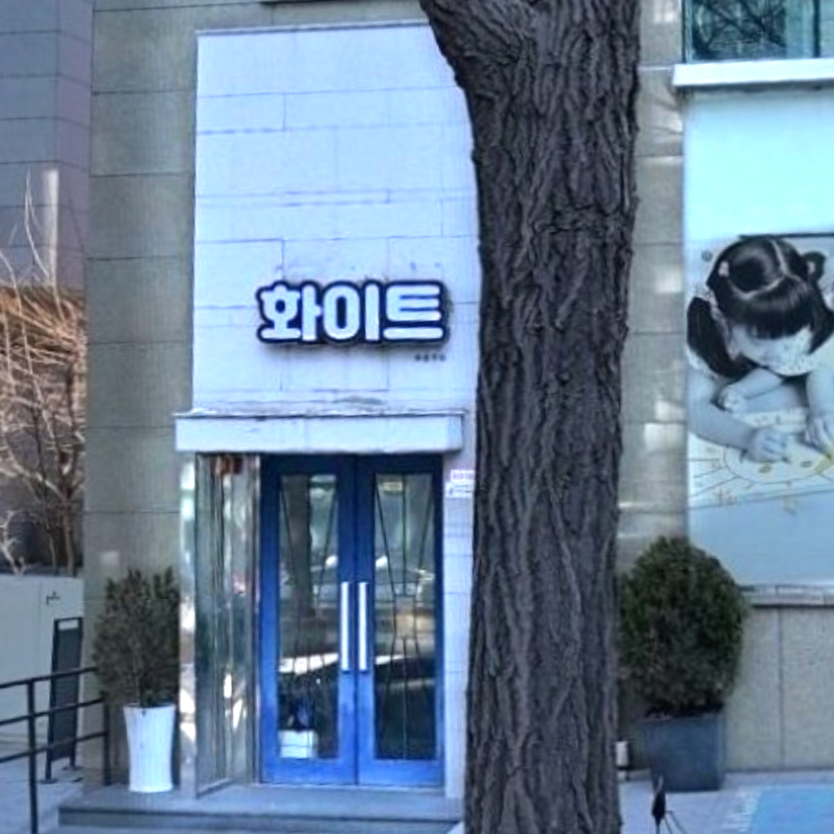 화이트 업소 사진