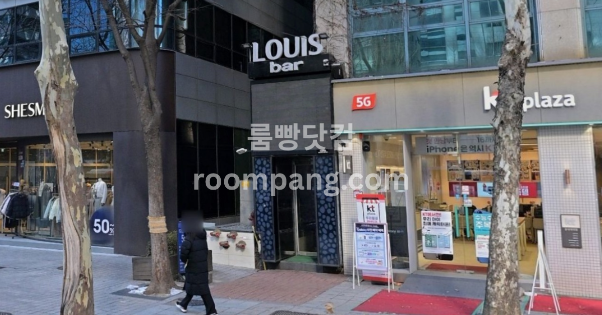 루이스 이미지